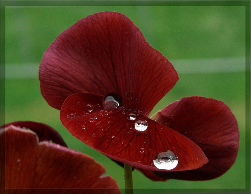 auf das Bild klicken f�r zur�ck